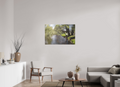 105 x 70 cm, Hahnemühle Papier Photo Rag Magia del giardino