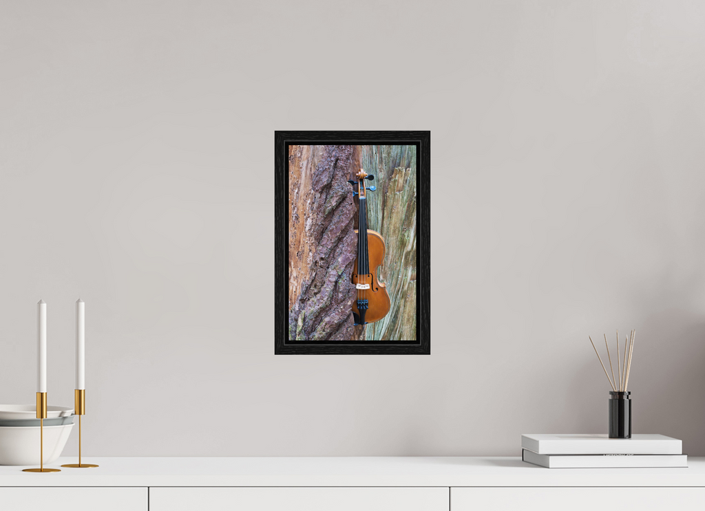 20 x 30,7 cm, Floater Frame A violin in its element