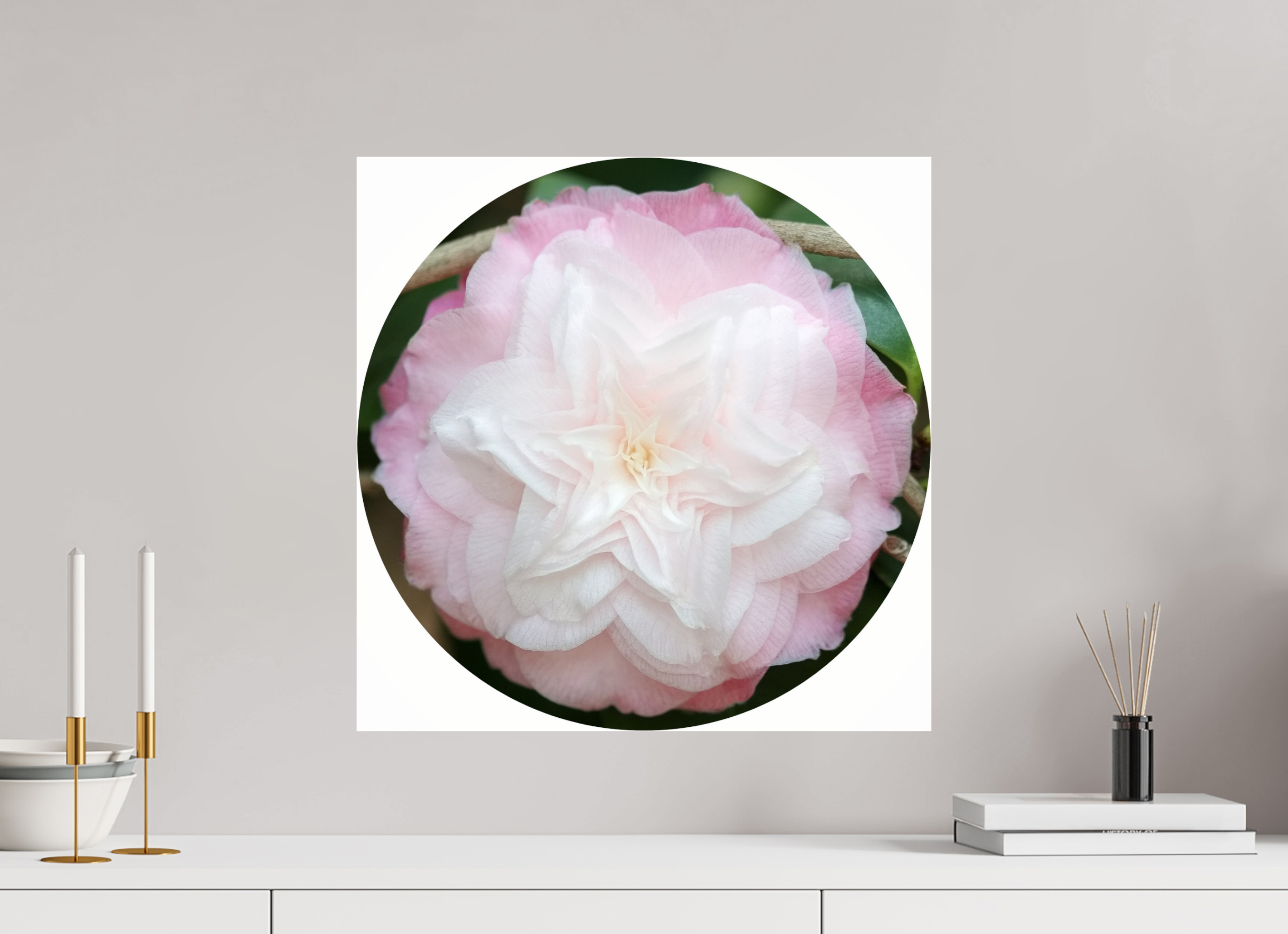 50 x 50 cm, Photo Print Under Acrylic Glass Kamelie No. 6