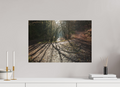 60 x 40 cm, Photo Print On Fuji Crystal DP II Pfad der langen Schatten