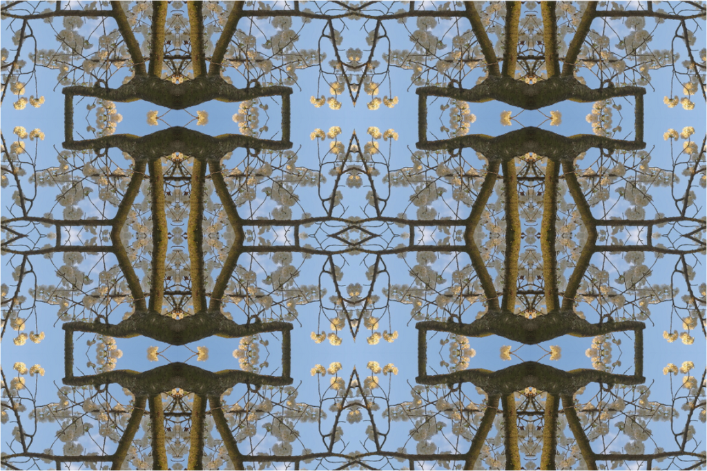 Main image Fuga florale