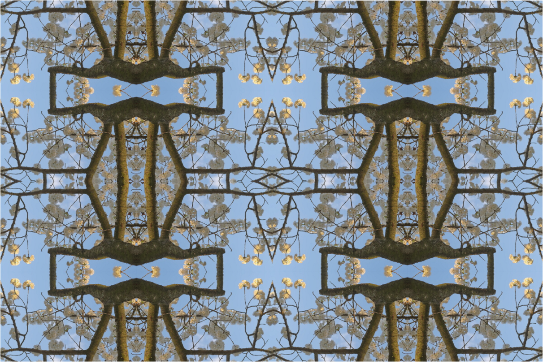 Main image Fuga florale