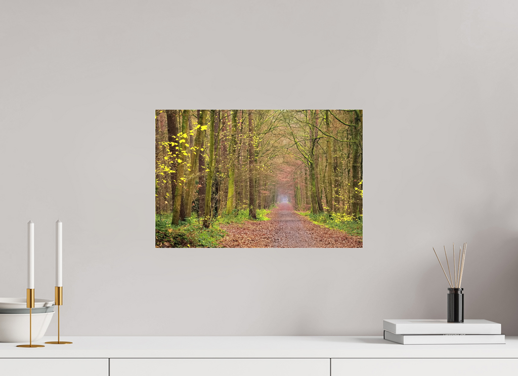 45 x 30 cm, Photo Print Under Acrylic Glass The autumnal Dünnwald forest