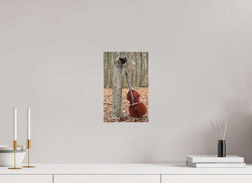 20 x 31,4 cm, Photo Print Under Acrylic Glass A double bass with heart.