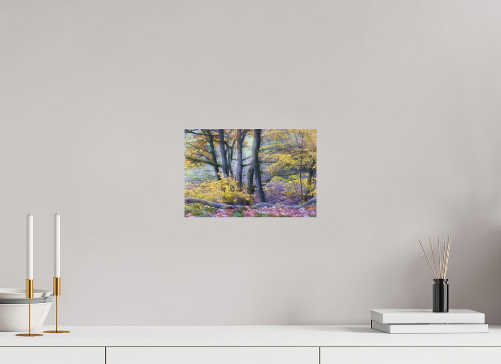 30 x 20 cm, Photo Print On Fuji Crystal DP II Trees on Hornpottweg