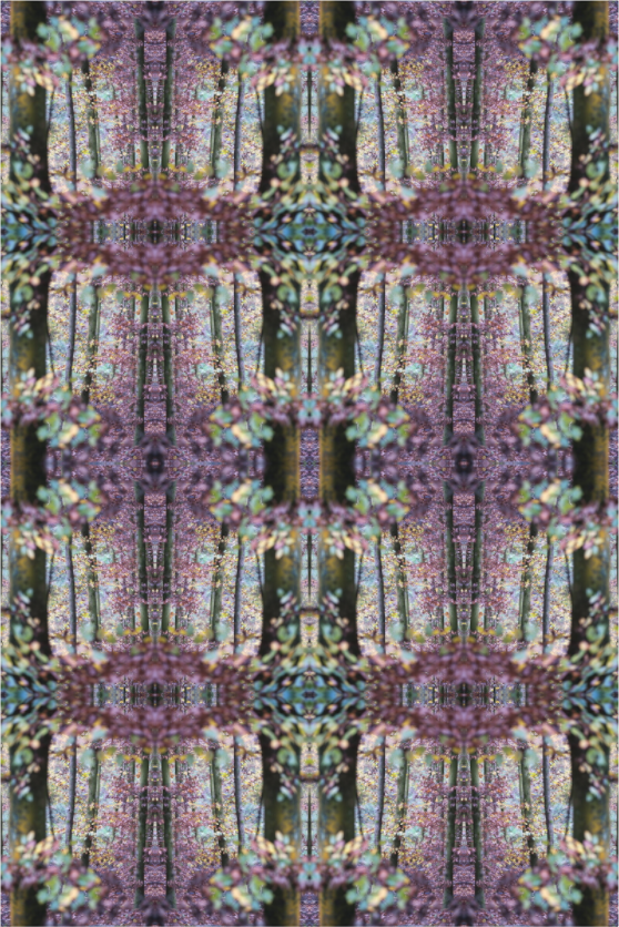 Main image Ritornello