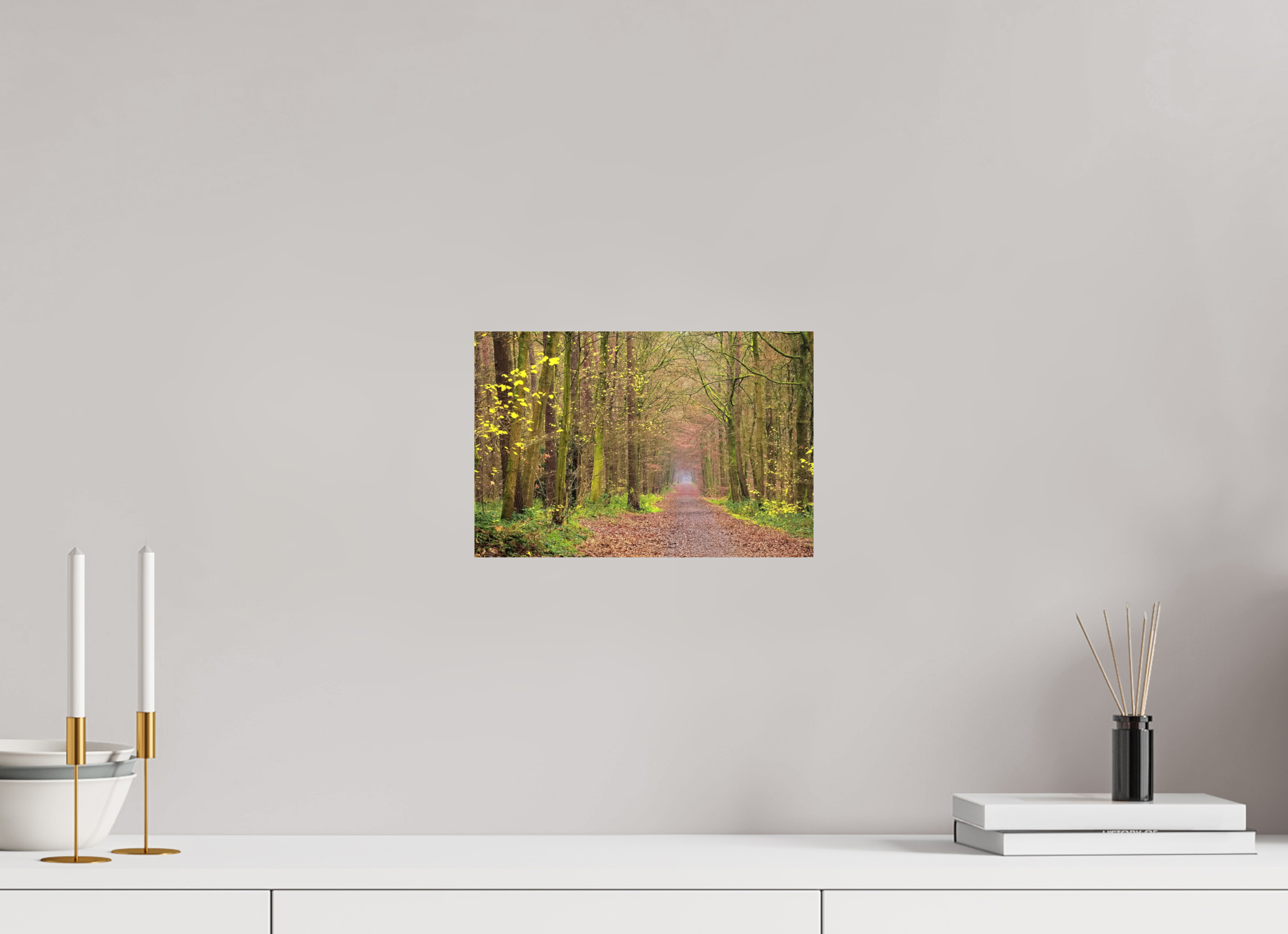 30 x 20 cm, Photo Print On Fuji Crystal DP II The autumnal Dünnwald forest