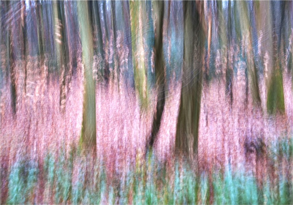 Main image Risonanza dell´etere