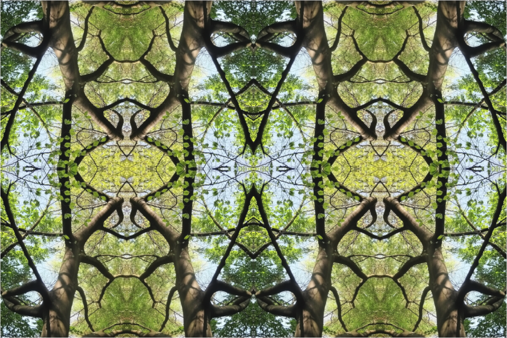 Main image Aria geometrica