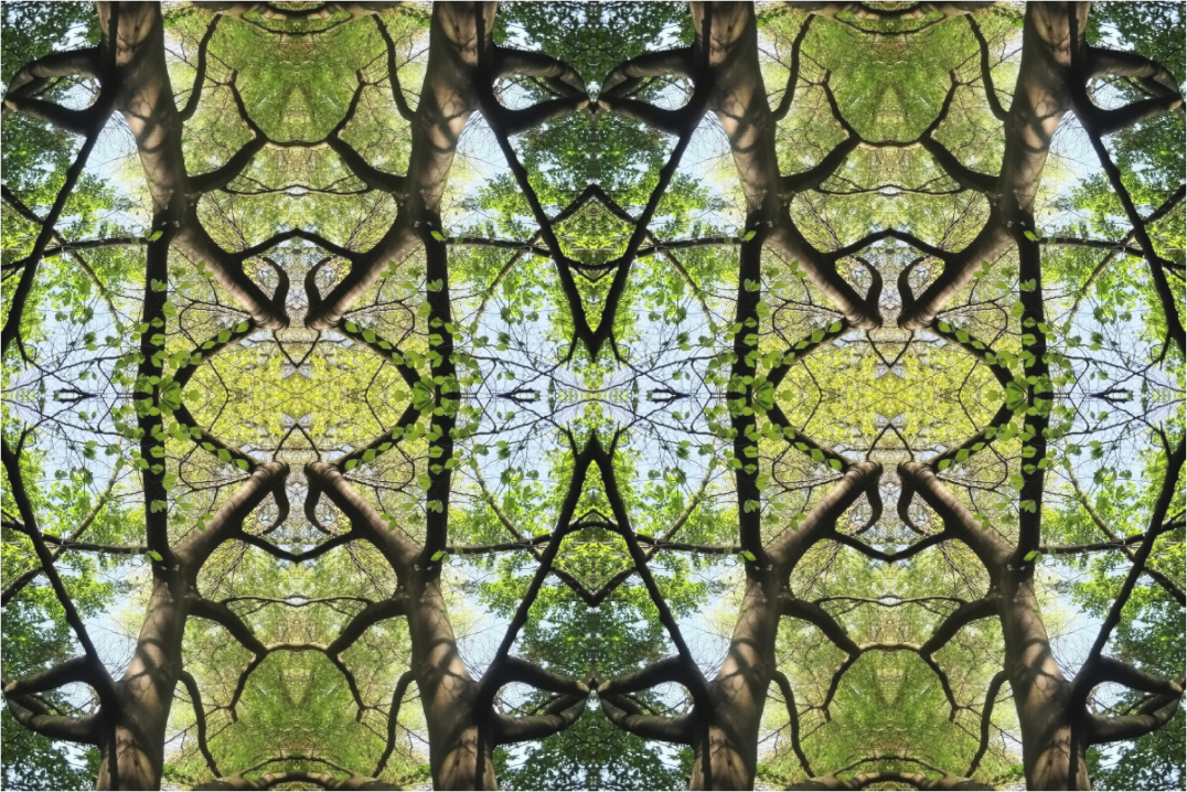 Main image Aria geometrica