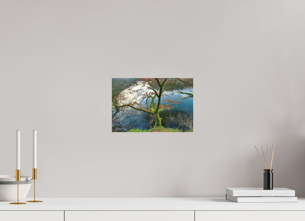 30 x 20 cm, Photo Print Under Acrylic Glass Tree in the Eifel region by the lake