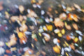 Portato colorato