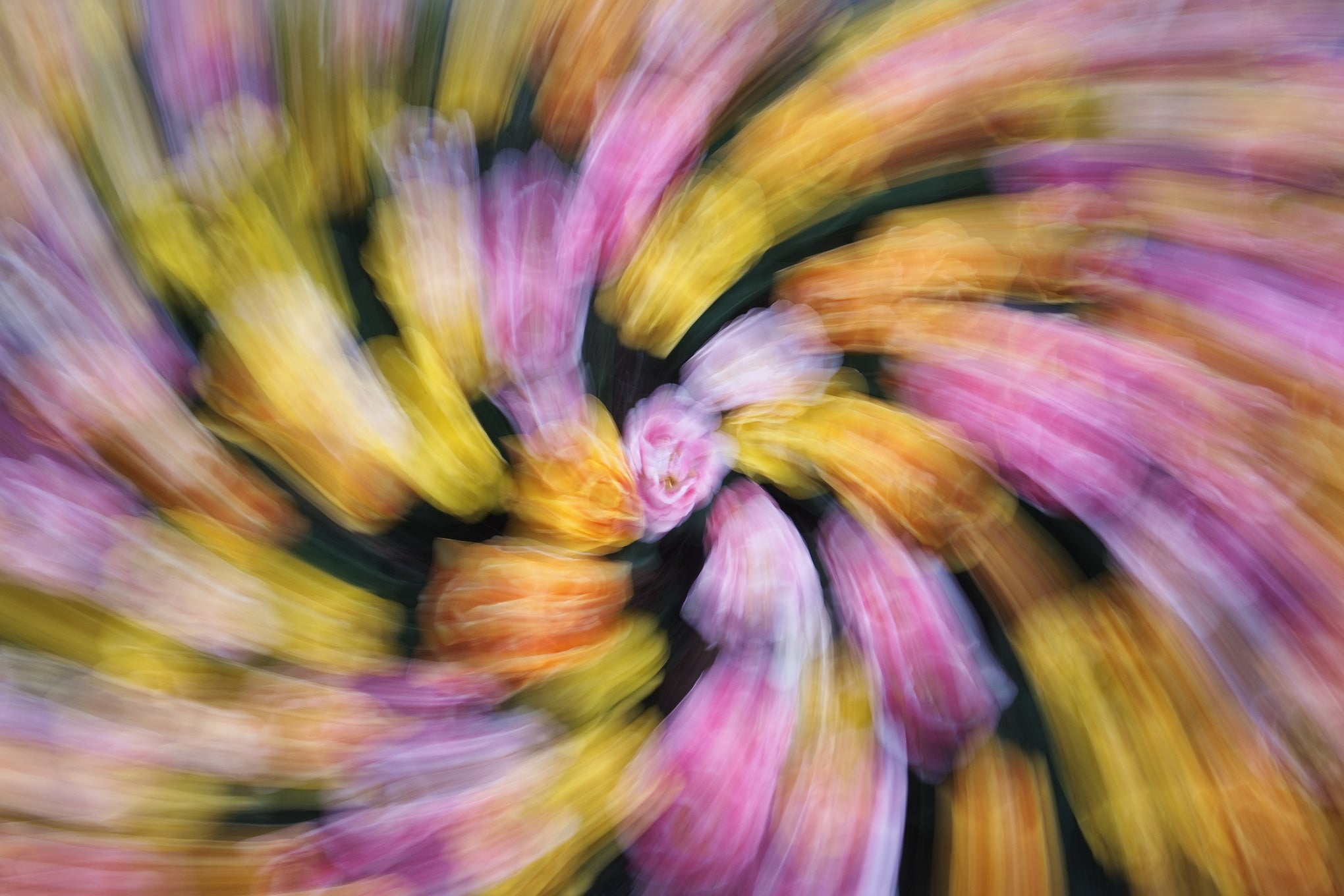 Allegro giocoso