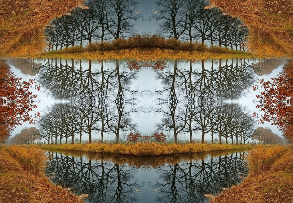 Main image Autumnal mirror world