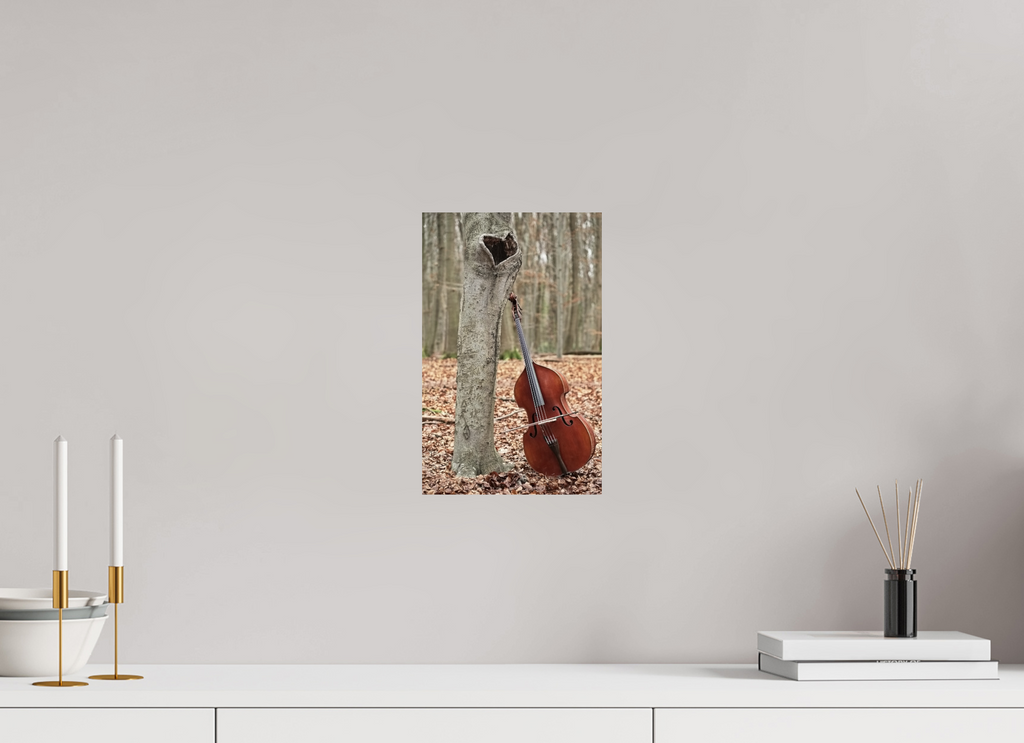 20 x 31,4 cm, Photo Print On Fuji Crystal DP II A double bass with heart.