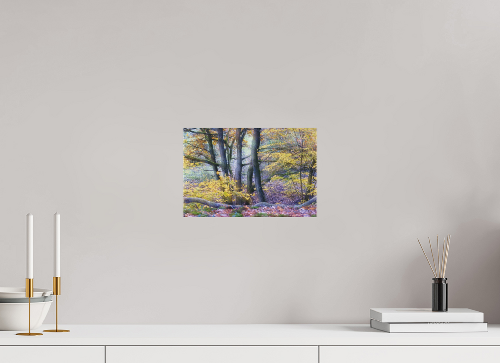 30 x 20 cm, Photo Print Under Acrylic Glass Trees on Hornpottweg