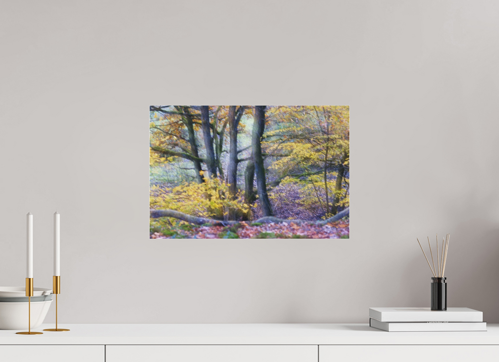 45 x 30 cm, Photo Print Under Acrylic Glass Trees on Hornpottweg