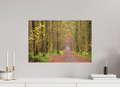 60 x 40 cm, Photo Print On Fuji Crystal DP II The autumnal Dünnwald forest