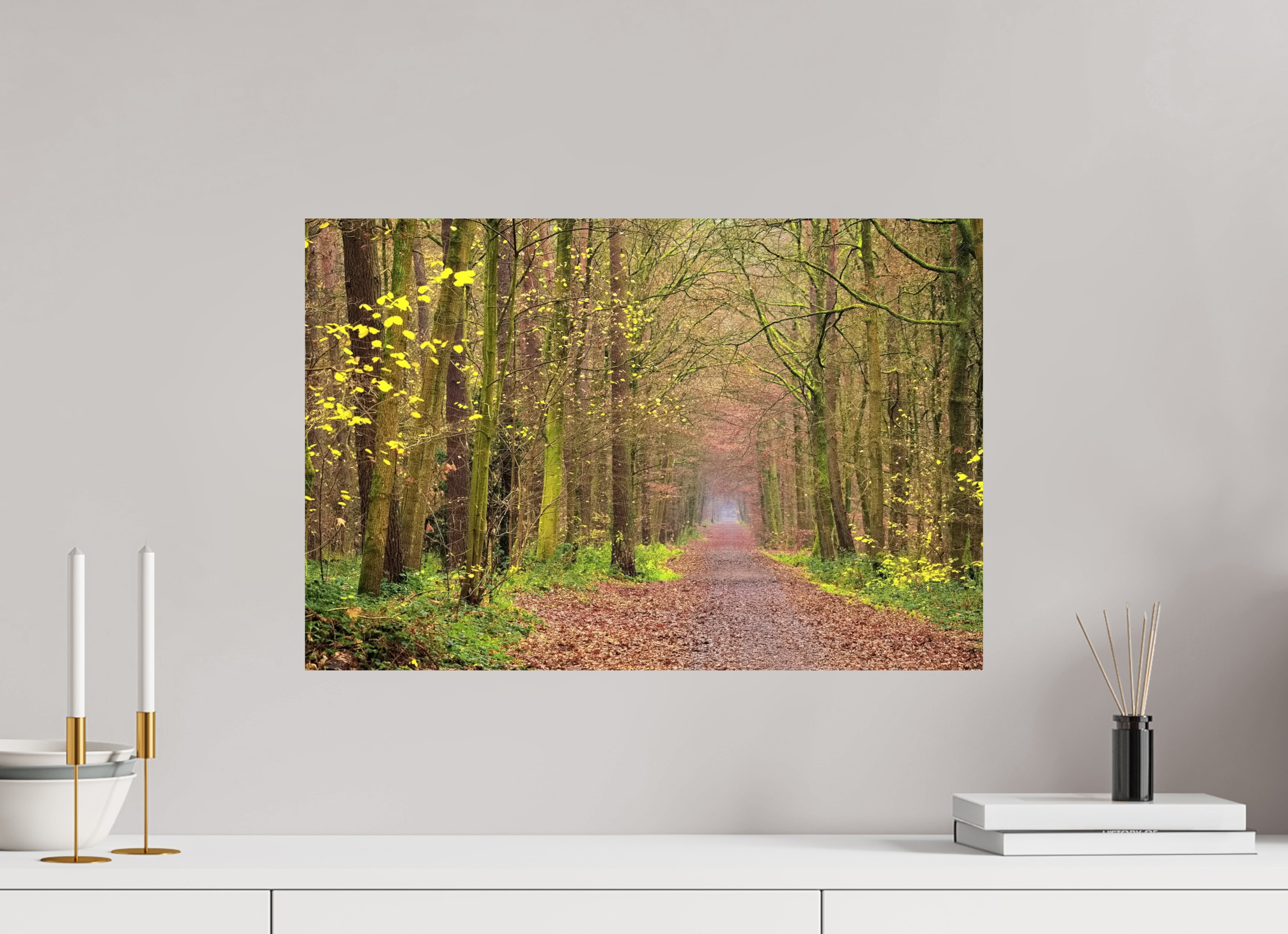 60 x 40 cm, Photo Print On Fuji Crystal DP II The autumnal Dünnwald forest