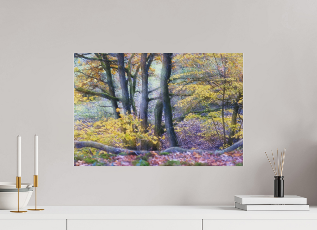 60 x 40 cm, Photo Print Under Acrylic Glass Trees on Hornpottweg