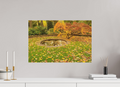 60 x 40 cm, Photo Print On Fuji Crystal DP II Herbst im Park