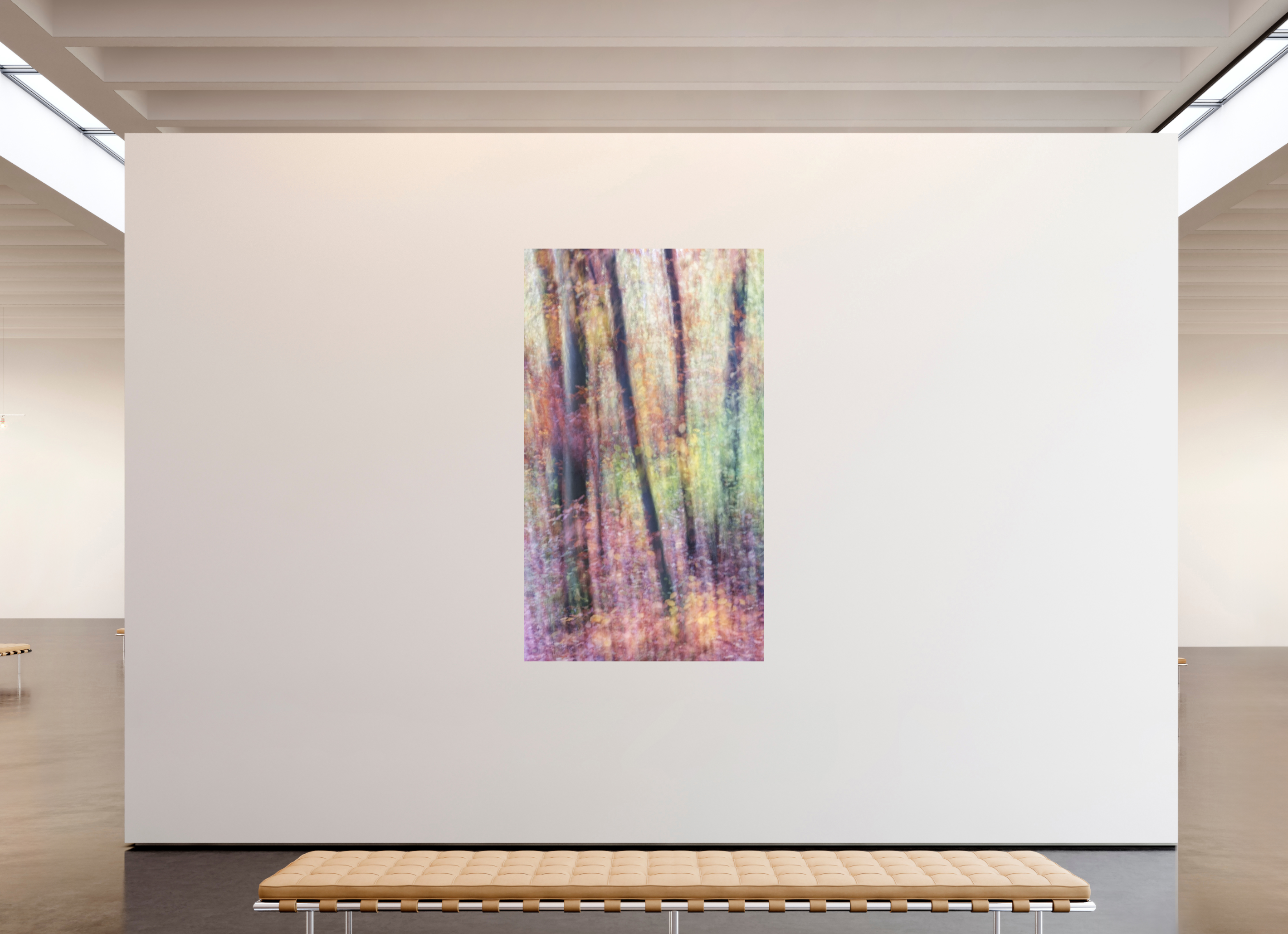 120 x 206 cm, Photo Print On Fuji Crystal DP II Herbstfarben 1